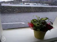 کشتی کاتر برای فروش