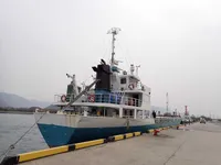General Cargo/Multi-purpose برای فروش
