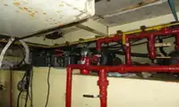 کشتی راهنما برای فروش