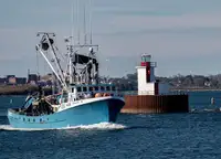 Purse seiner برای فروش