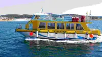 کشتی فری برای فروش