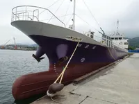 General Cargo/Multi-purpose برای فروش