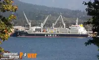 حامل فله برای فروش