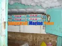 کشتی صیادی با تور بلند برای فروش