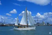 کشتی لایروبی برای فروش