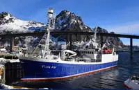 Purse seiner برای فروش