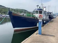 کشتی راهنما برای فروش