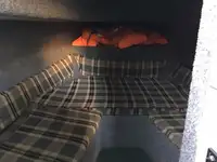 کشتی راهنما برای فروش