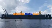 اسکله شناور برای فروش