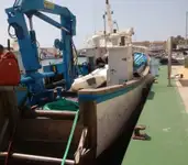 کشتی‌های کاری برای فروش