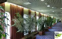 Ro-Ro ship برای فروش