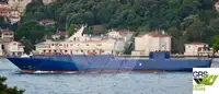 Ro-Ro ship برای فروش