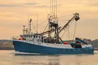 Purse seiner برای فروش