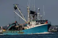 Purse seiner برای فروش