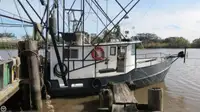 Trawler برای فروش