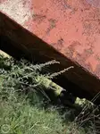 بارژ برای فروش