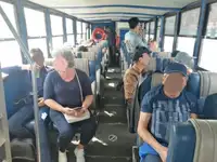 دوزیست برای فروش