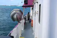 General Cargo/Multi-purpose برای فروش