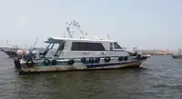 کشتی راهنما برای فروش