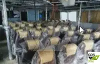 کشتی مسافری برای فروش
