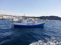 کشتی تریلر برای فروش