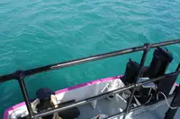 General Cargo/Multi-purpose برای فروش