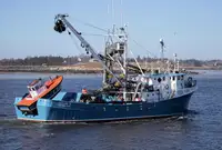 Purse seiner برای فروش