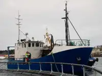 Trawler برای فروش