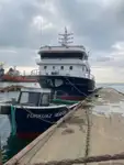 Purse seiner برای فروش