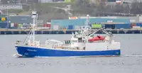 Purse seiner برای فروش