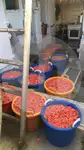 کشتی تریلر با تیر عرضی برای فروش