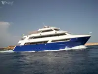 پشتیبانی شیرجه برای فروش