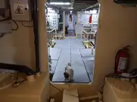 General Cargo/Multi-purpose برای فروش