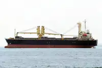 حامل فله برای فروش