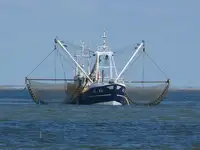 Trawler برای فروش