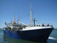 Purse seiner برای فروش