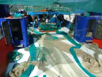 Trawler برای فروش