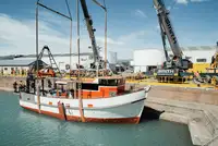 Trawler برای فروش