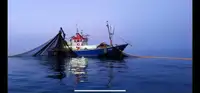 Trawler برای فروش