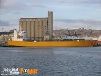 Ro-Ro ship برای فروش