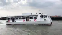 کتاماران برای فروش