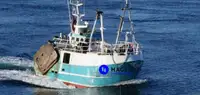 Beam trawler برای فروش