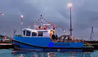 یدک کش برای فروش