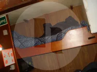 کشتی حمل و نقل ماهی زنده برای فروش