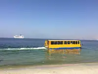 دوزیست برای فروش