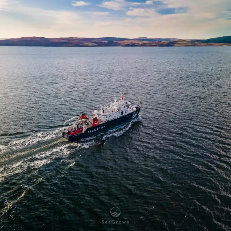 کشتی نقشه برداری برای فروش