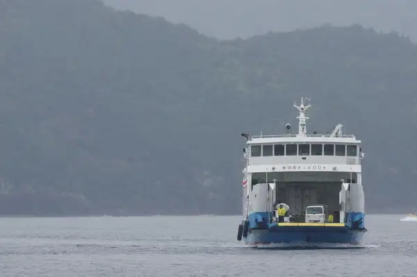 کشتی RORO برای فروش