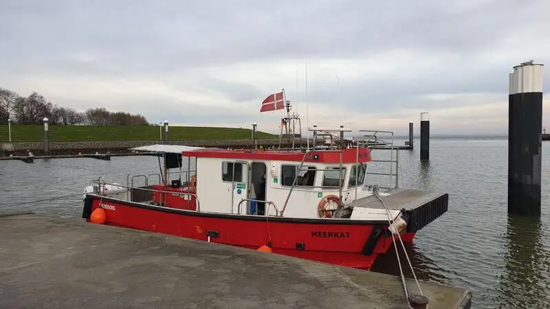 کاتاماران برای فروش