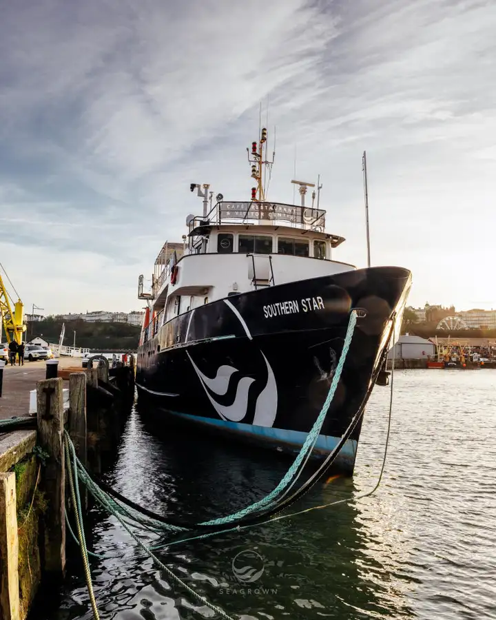 کشتی نقشه برداری برای فروش