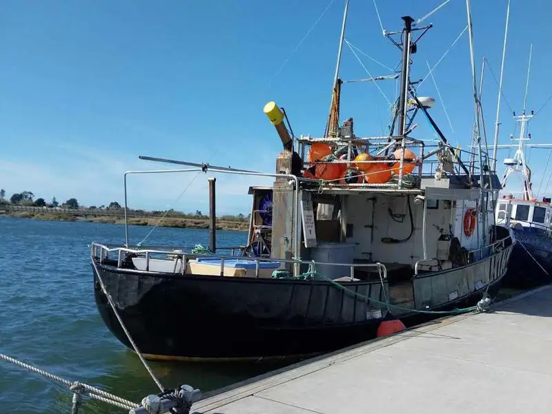 کشتی لانگ لاین برای فروش